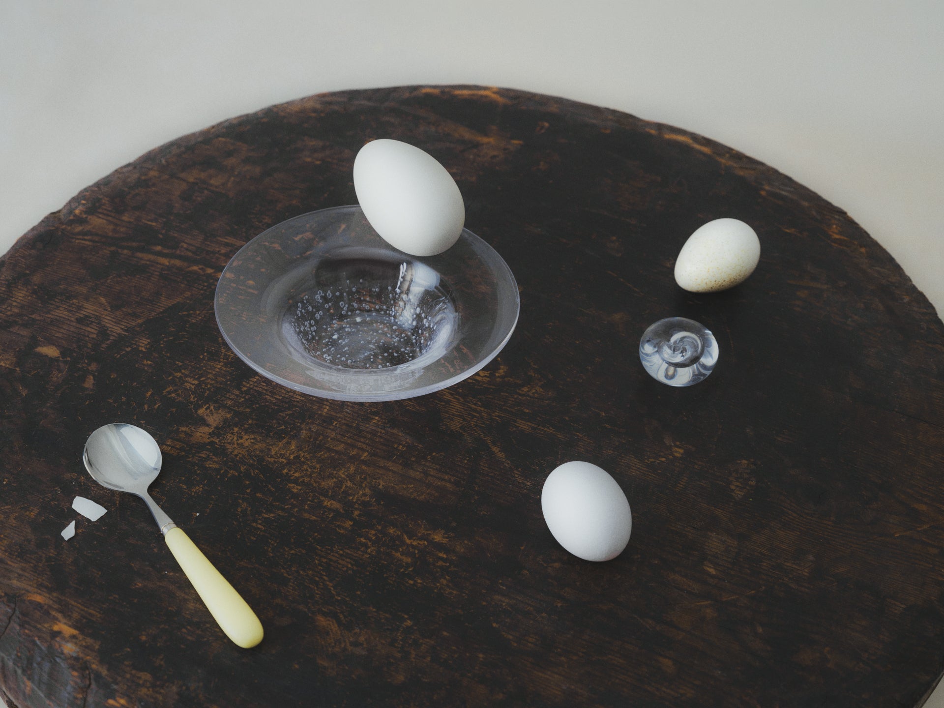 "an egg study" editorial for Schön! Magazine